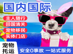 烟台航空邮寄国际宠物托运 【国